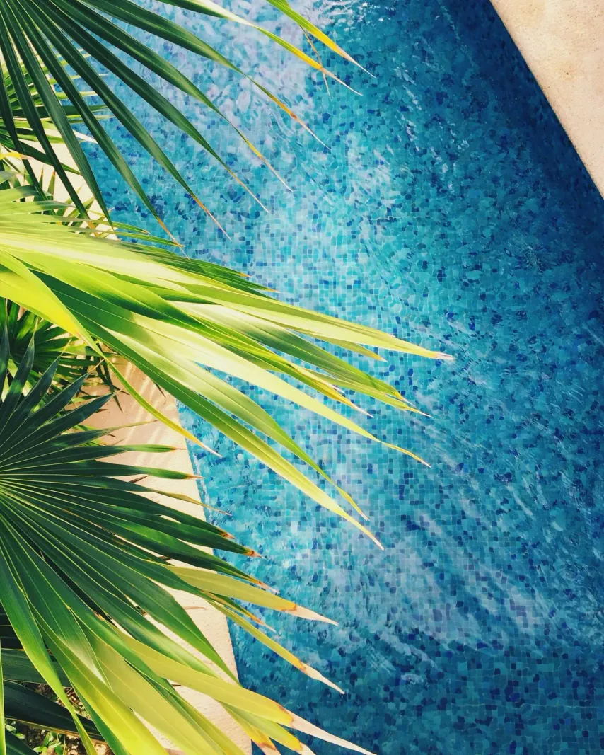 Piscina de gresite azul junto a una palmera