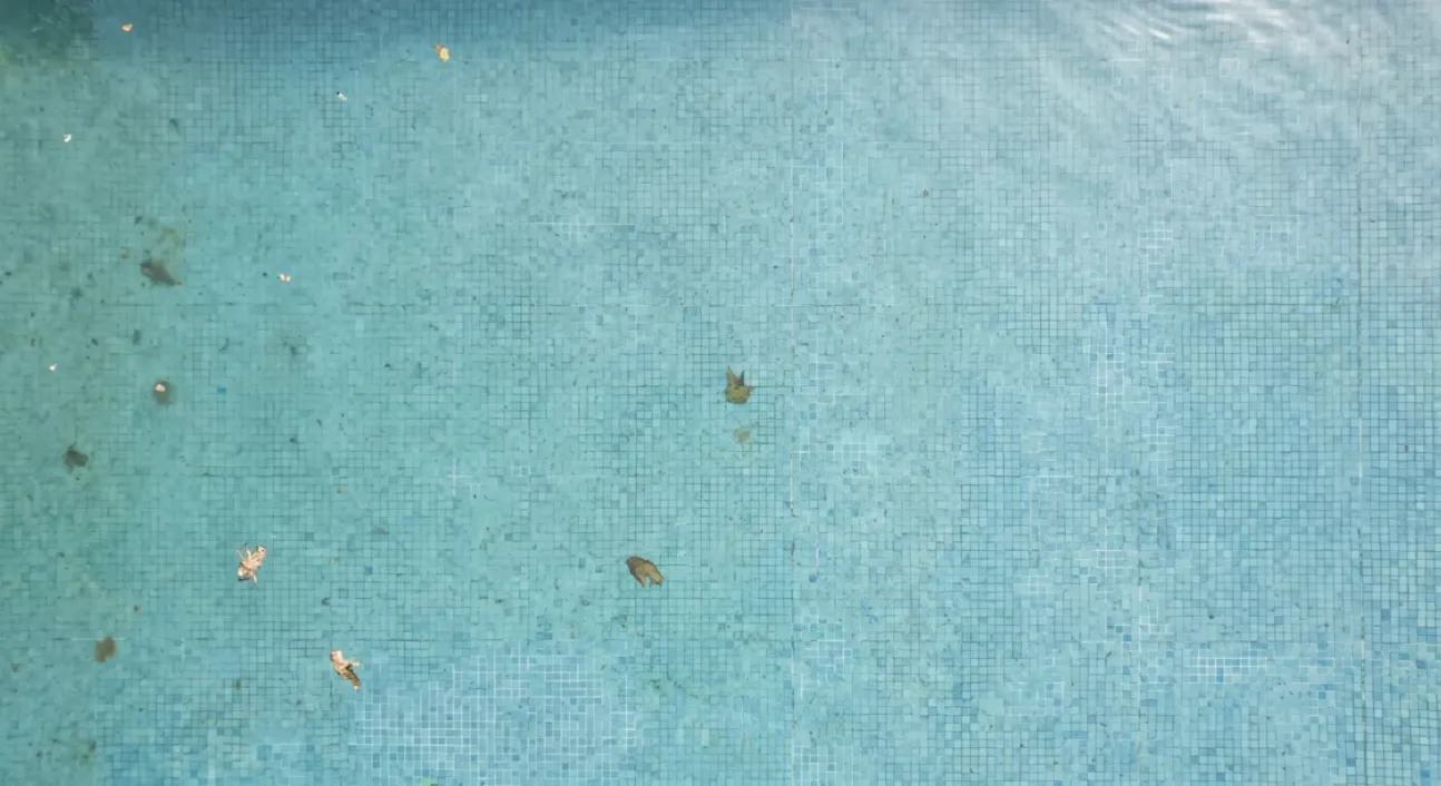 Piscina descuidada antes de la intervención